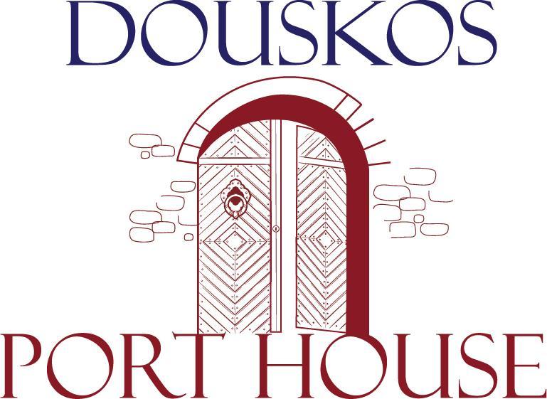 Douskos Port House Hotel Ídra Kültér fotó